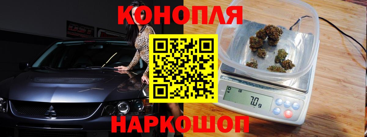 Бошки марихуана конопля  Бошки марихуана семена  Вход с VPN  Заводоуковск  Каннабис MAZAR 